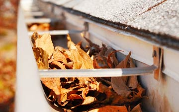 Coolhurst Wood gutter cleaning companies