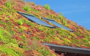 Coolhurst Wood living roof systems