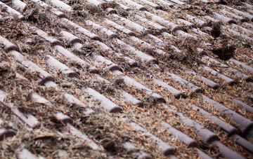 Coolhurst Wood roof cleaning companies